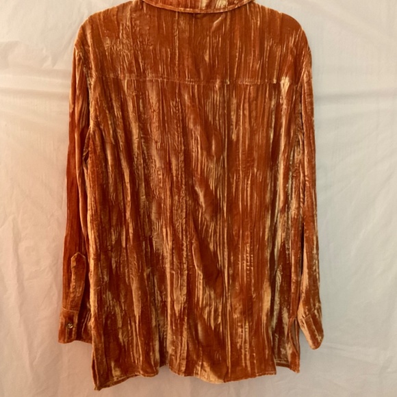 Beautiful new velvet shirt blouse with Rhinestone buttons - Picture 3 of 3